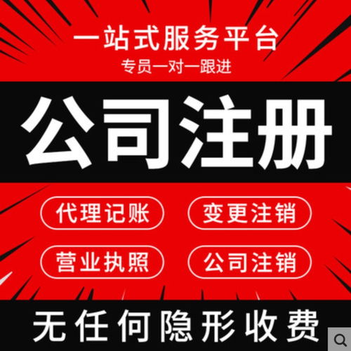 上海普陀區(qū)專(zhuān)業(yè)執(zhí)照代辦與代理記賬服務(wù) 高效便捷，價(jià)格優(yōu)惠